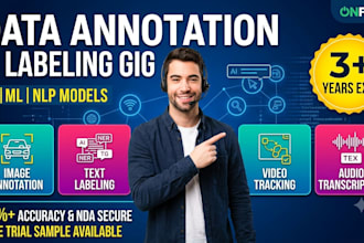 provide high quality ai data annotation and labeling