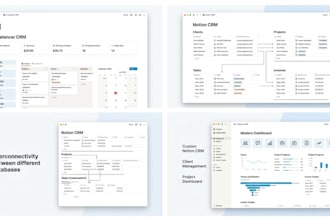 build a professional custom CRM in notion for your business