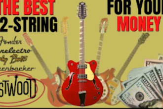 record bass guitar jazz guitar dobro string guitar electro acoustic guitar