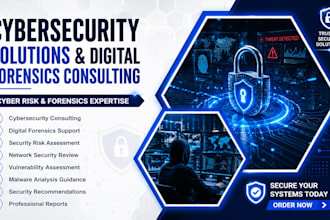 provide cybersecurity solutions and digital forensics consulting