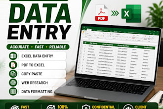 professional data entry and excel services