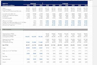 build a professional financial model in excel