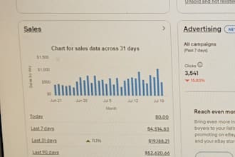 be your amazon to ebay virtual assistant for ebay store management