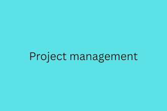 do project mnagement project manager
