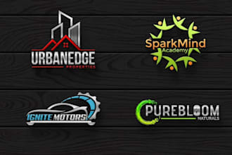 design a professional brand logo design