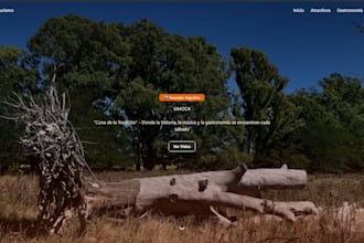 develop web page or a backend API