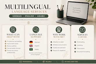 a professional subtitle translator