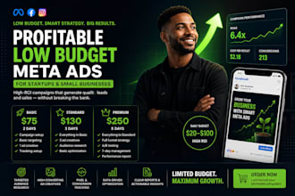 run profitable low budget meta ads for startups and small businesses