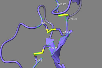 perform molecular docking, virtual screening and in silico pk pd analysis
