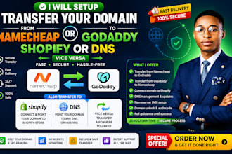setup transfer your domain from namecheap to godaddy shopify or dns vice versa