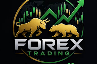 teach you a strategy and trading style