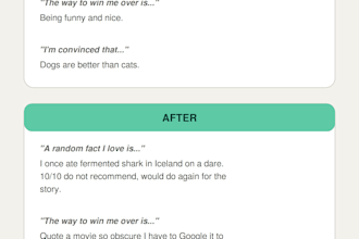 write your hinge or bumble profile and pick your best prompts