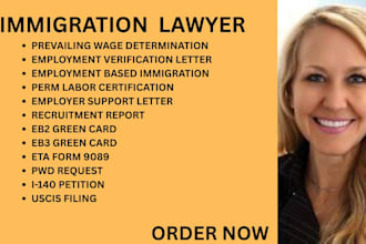 be your ny, ca, florida immigration lawyer for perm, eb2, and eb3 petitions