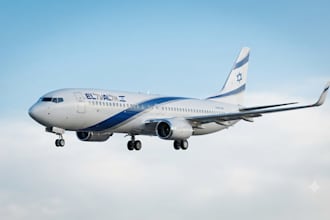 design msfs 2020, 2024, x plane aircraft liveries for airbus a320 and ifly 737