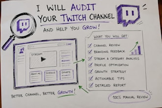 perform a professional twitch channel audit
