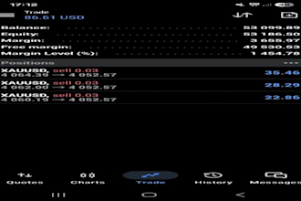 deliver profitable forex trading robot forex ea robot  trading bot gold ea