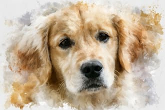 draw paint a watercolor pet portrait, dog portrait cat portrait