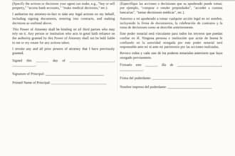 professionally translate english to spanish and german