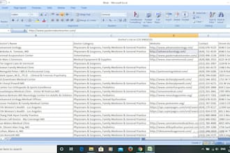 do fast and accurate data entry and spreadsheet work
