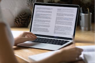 deliver quality write up in 12hrs