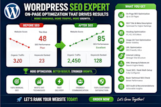 professional wordpress SEO optimization service