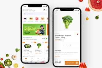 develop a flutter mobile app