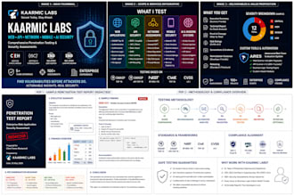 provide professional cyber secuirty consultation services