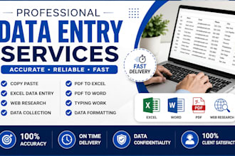 do accurate data entry copy paste excel and web research