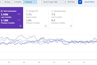 seo expert and consultant