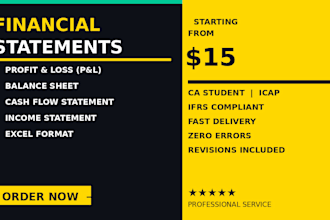 prepare profit and loss statement and balance sheet in excel