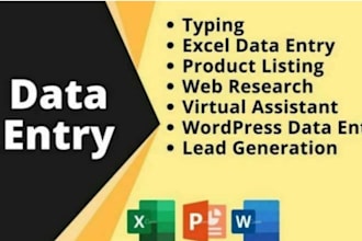 do data entry typing work in excel spreadsheet