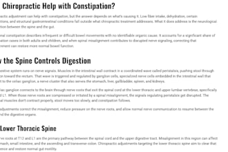 write SEO optimized blog articles and website copy