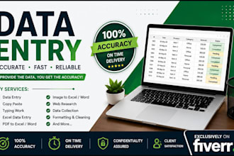 do accurate data entry, excel data entry, copy paste, web research, and p