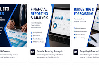 provide cfo services, budgeting and financial planning