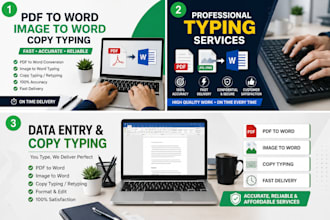 do PDF to word typing, image to word typing and copy typing