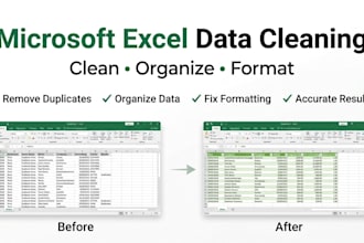 clean, organize and format your microsoft excel spreadsheet