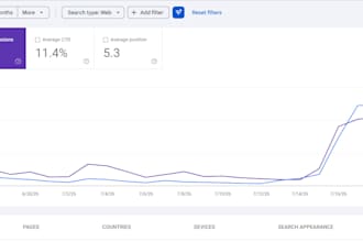 audit your site for SEO and give you a detailed report