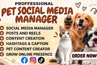 be pet store social media manager for instagram facebook and content creation
