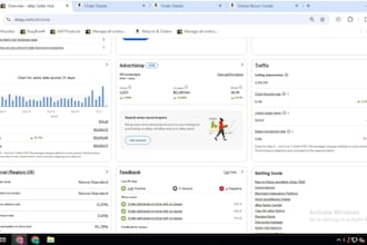 be your ecommerce virtual assistant for shopify amazon and ebay