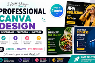 design professional canva instagram posts, social media posts and carouse