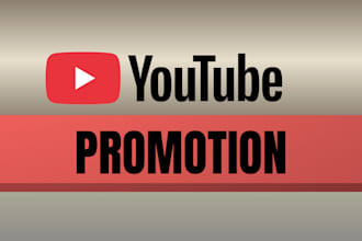 super fast youtube video SEO promotion to over 1 million views and google ads