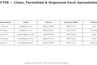 clean, format, organize and fix your excel spreadsheet professionally