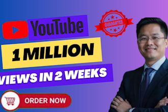 shoutout youtube video promotion to 1 million views organic advance google SEO