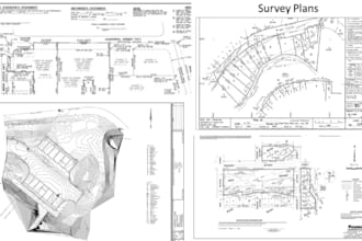 prepare USA land survey, boundary survey, alta survey, and topographic survey