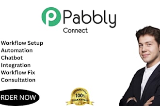 automate workflows with pabbly connect automation expert
