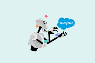 be your salesforce admin or salesforce developer