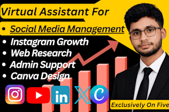 be your virtual assistant for social media management, instagram grow