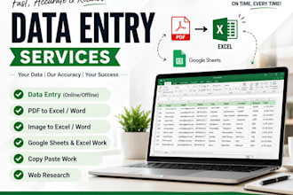 do accurate data entry and google sheets work
