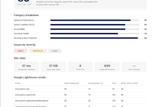 deliver a professional technical website audit report in 24 hours