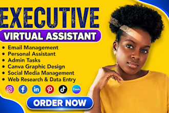 be your executive virtual assistant for admin task